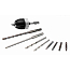 Перфоратор  WORX WX390.1, 1,2 Дж, 20V, щеточный, с 2xАКБ 2 А/ч + кейс